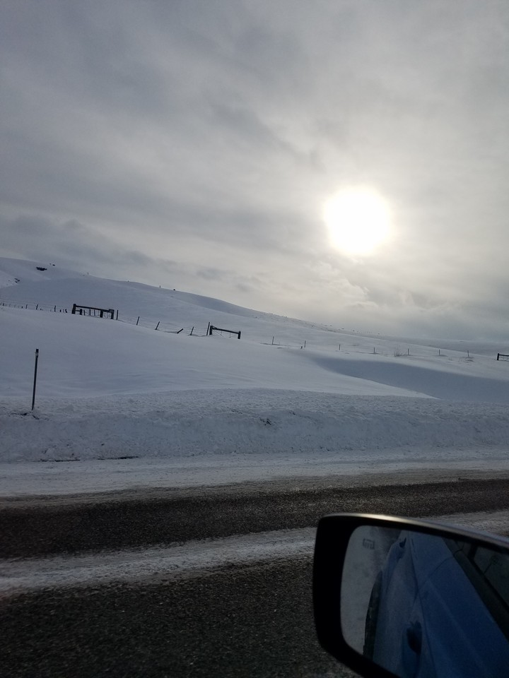 headed home