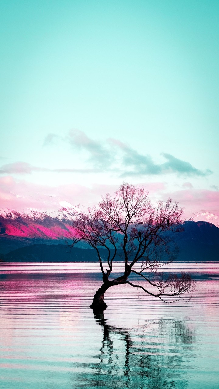 scenery
