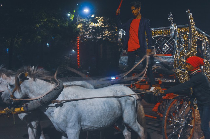 Horse cart..