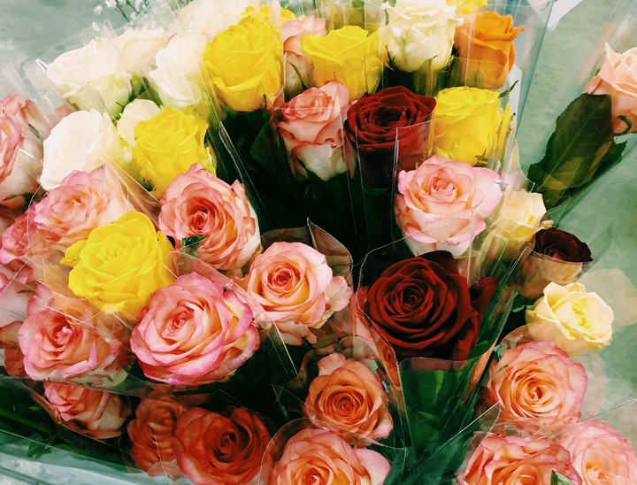 roses