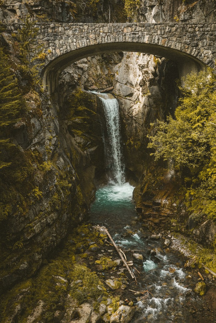 nature