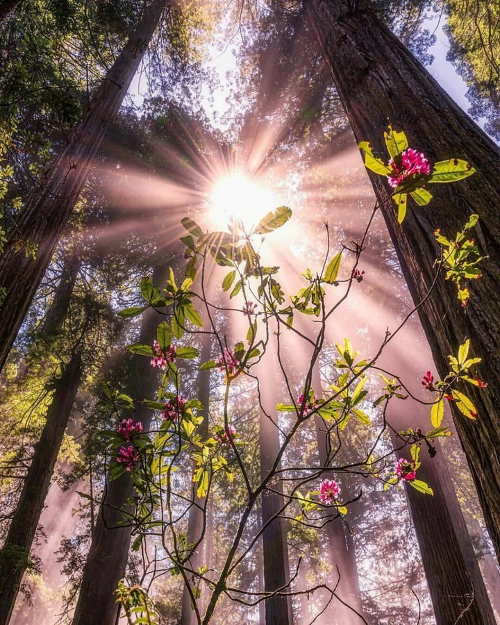 Extend your needy hands,you will find light,even down here