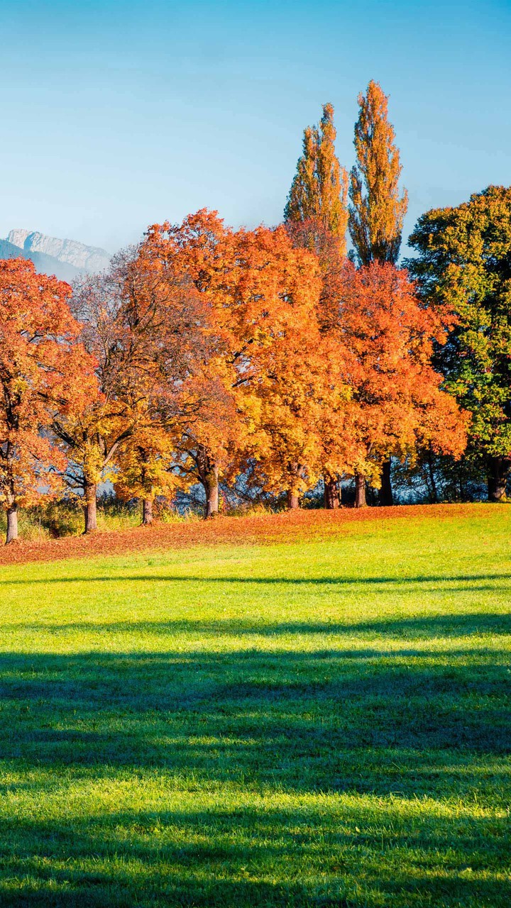 Autumn