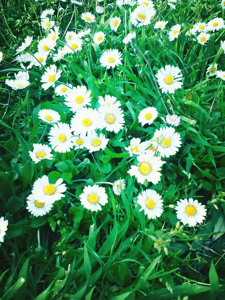 Spring