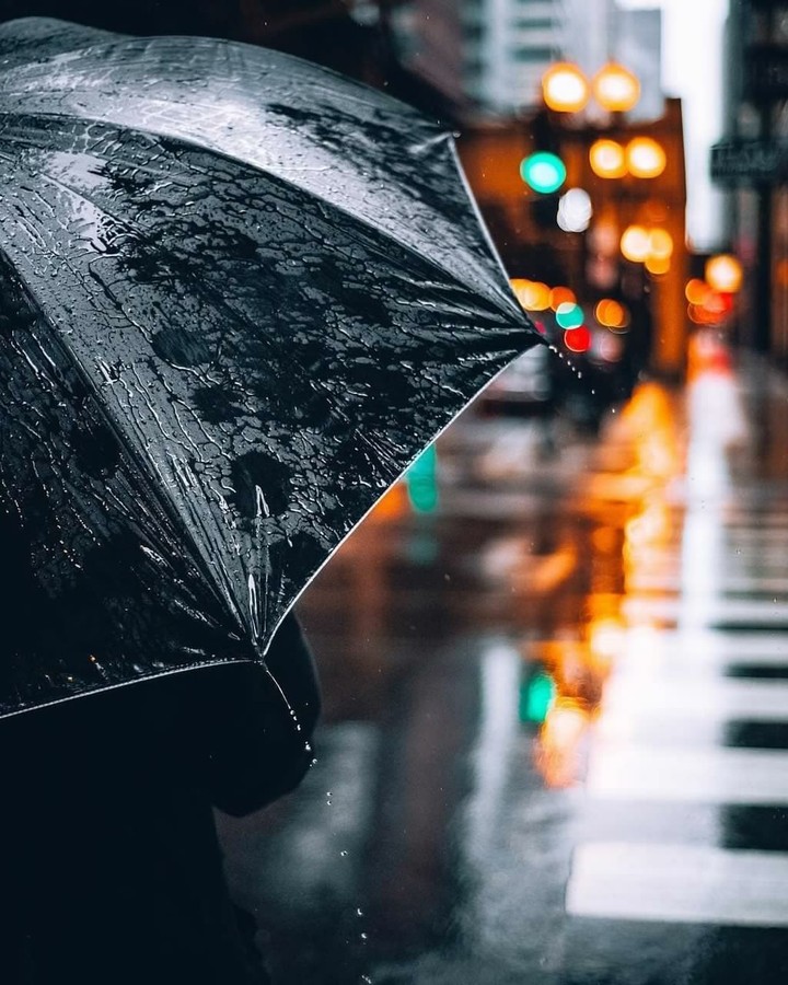 rain umbrella