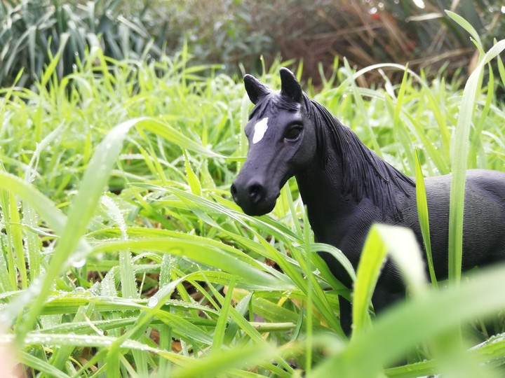 Schleich Tennessee Walker gelding