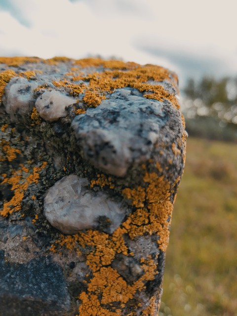 Stone