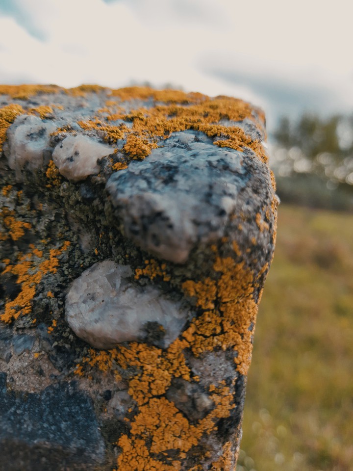 Stone
