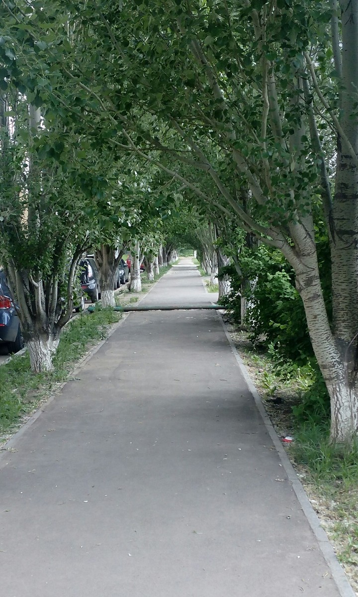 дорога