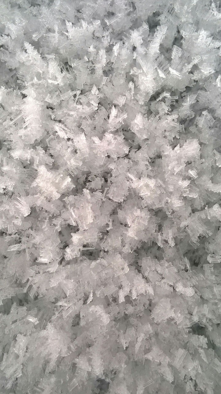 winter