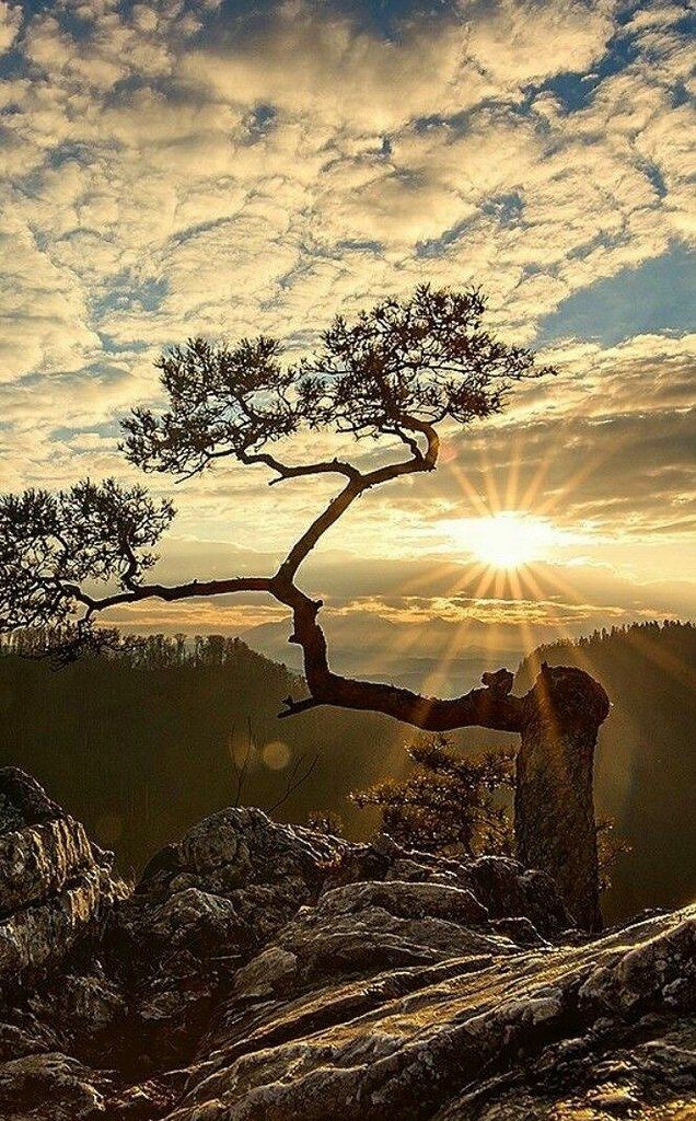 Природа
