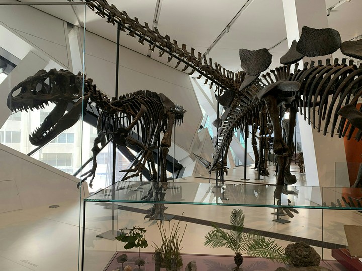 Dinosaur