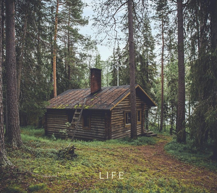 Life