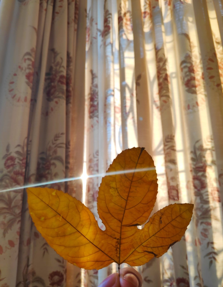 autumn