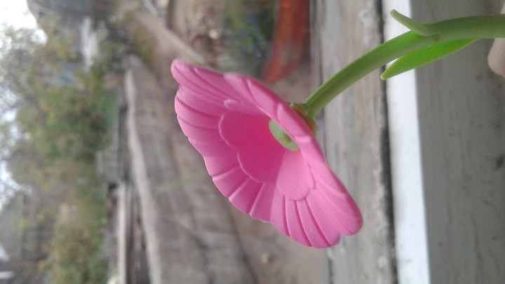 FLOWER^-^