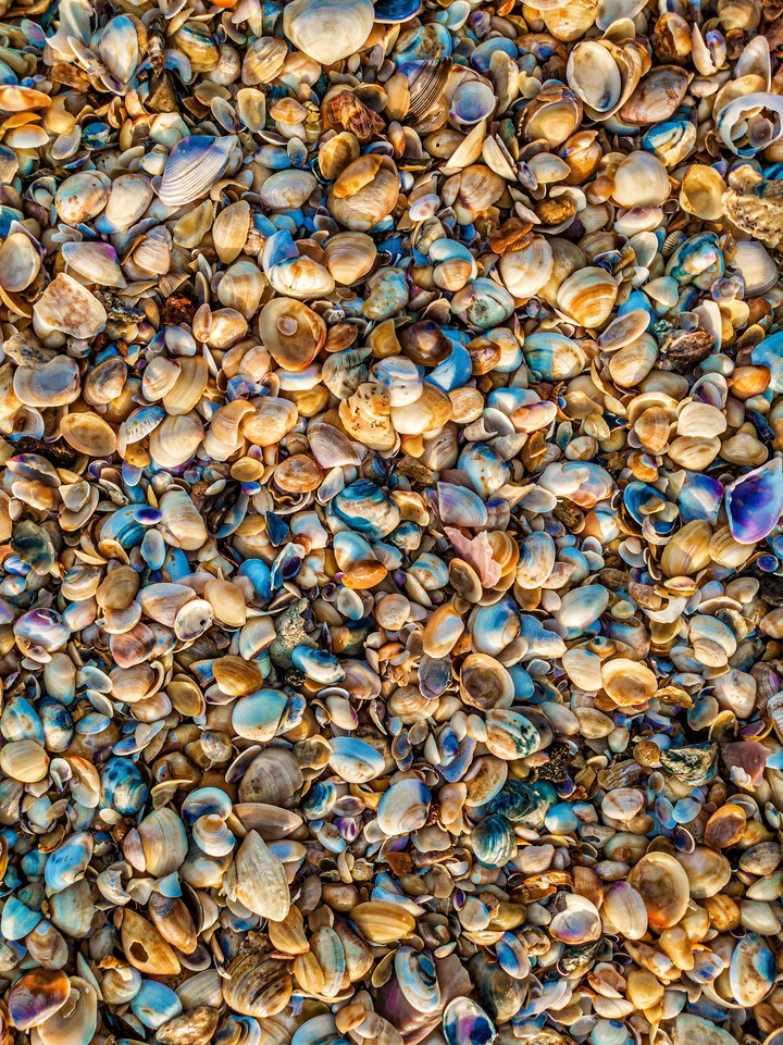 colors of sea