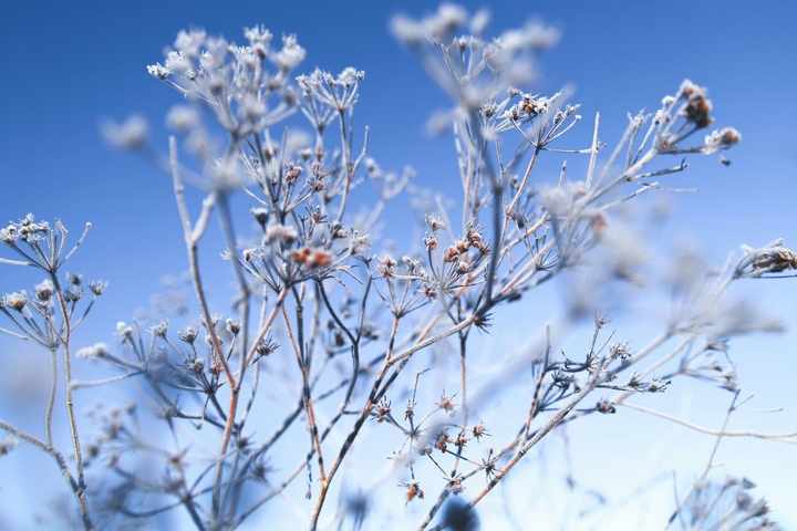winter