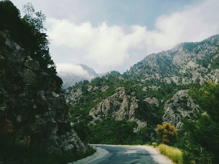 mountains