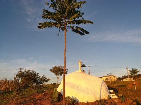 Cedro