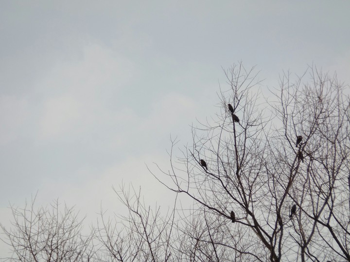A Lonely Winter