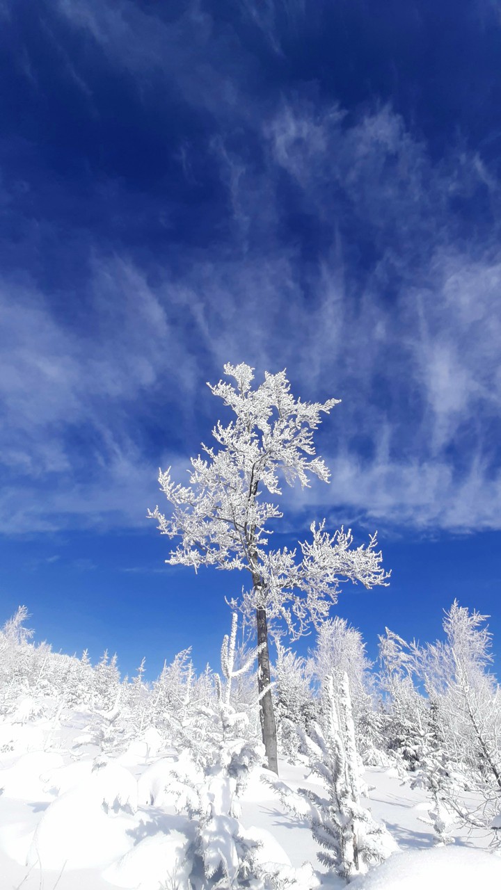 winter 4