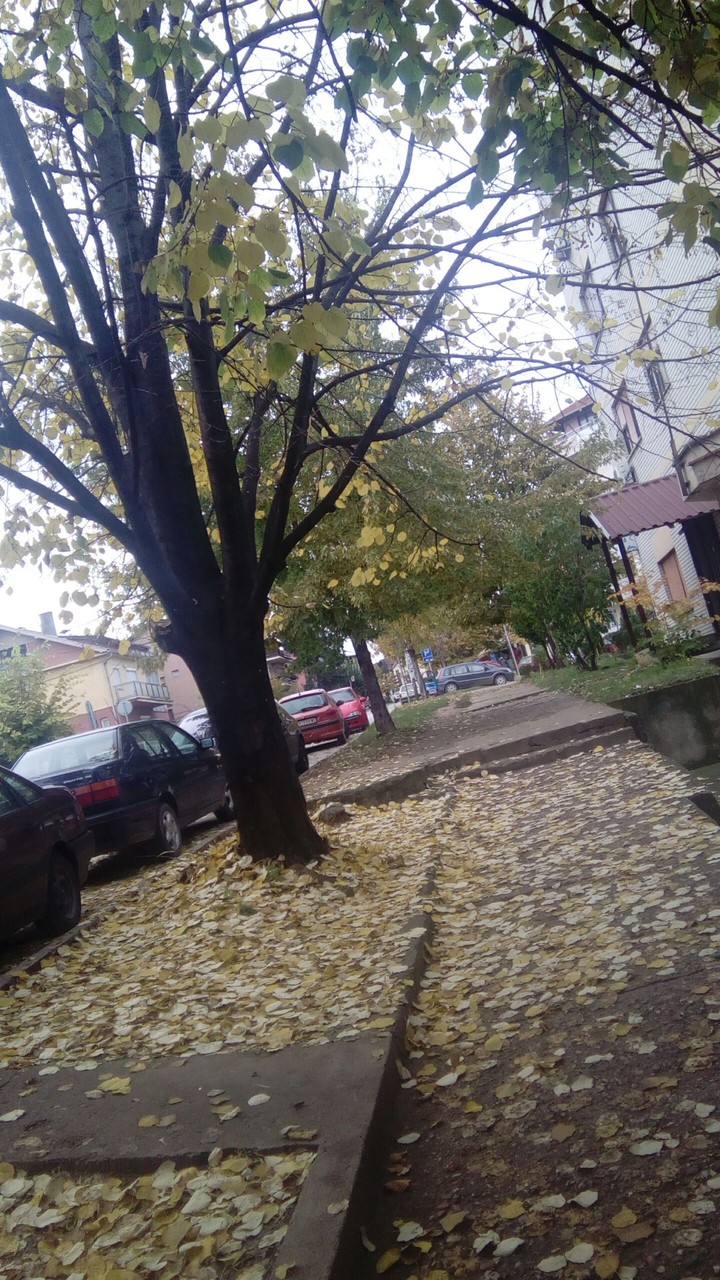autumn