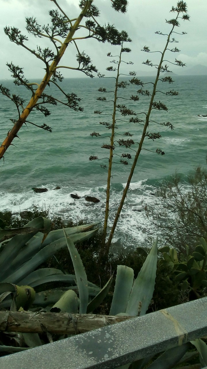 piombino