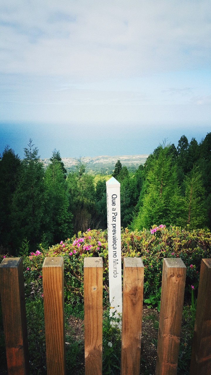 May peace prevail on earth