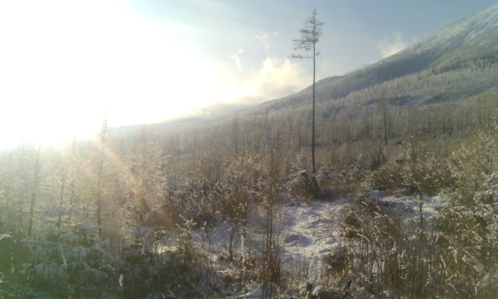 Tatry