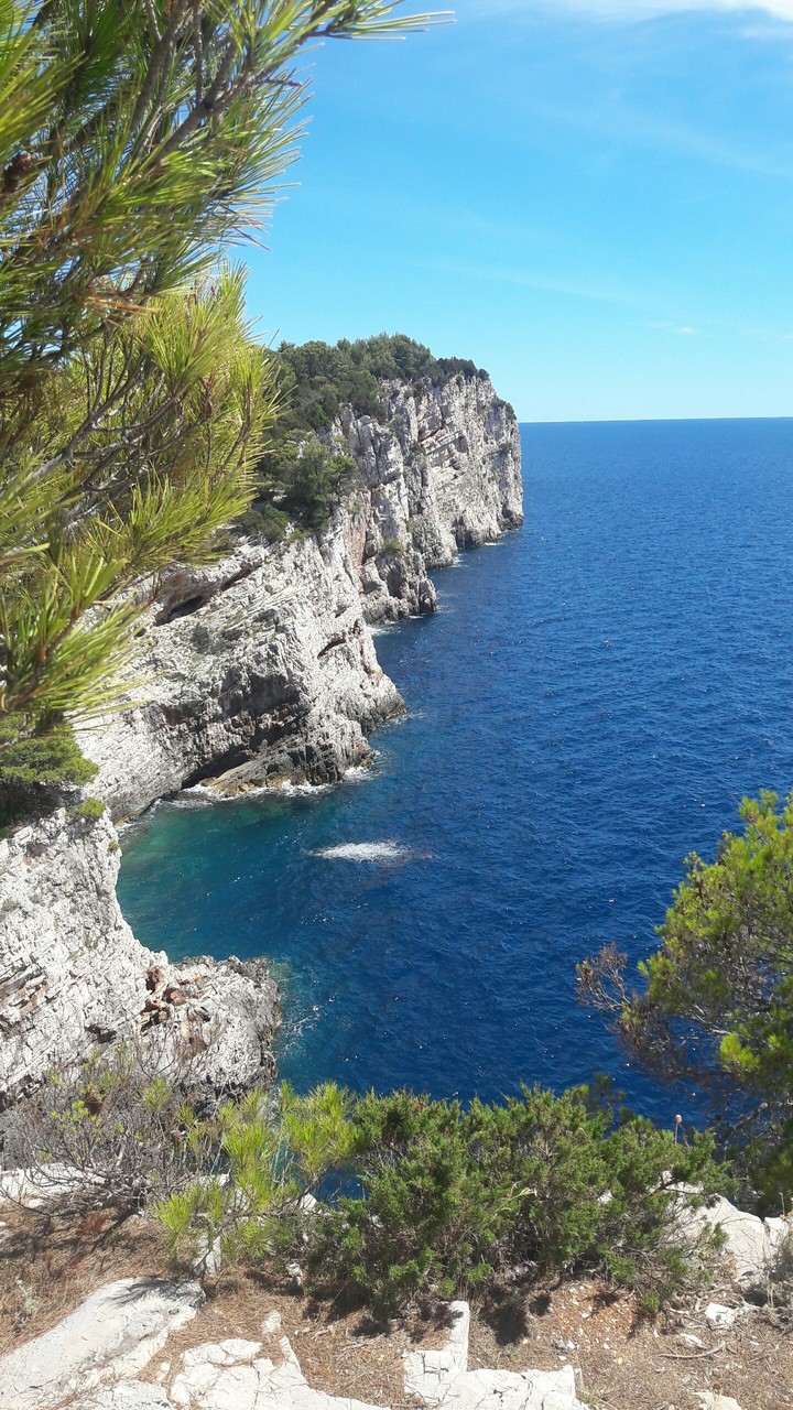 Paradise