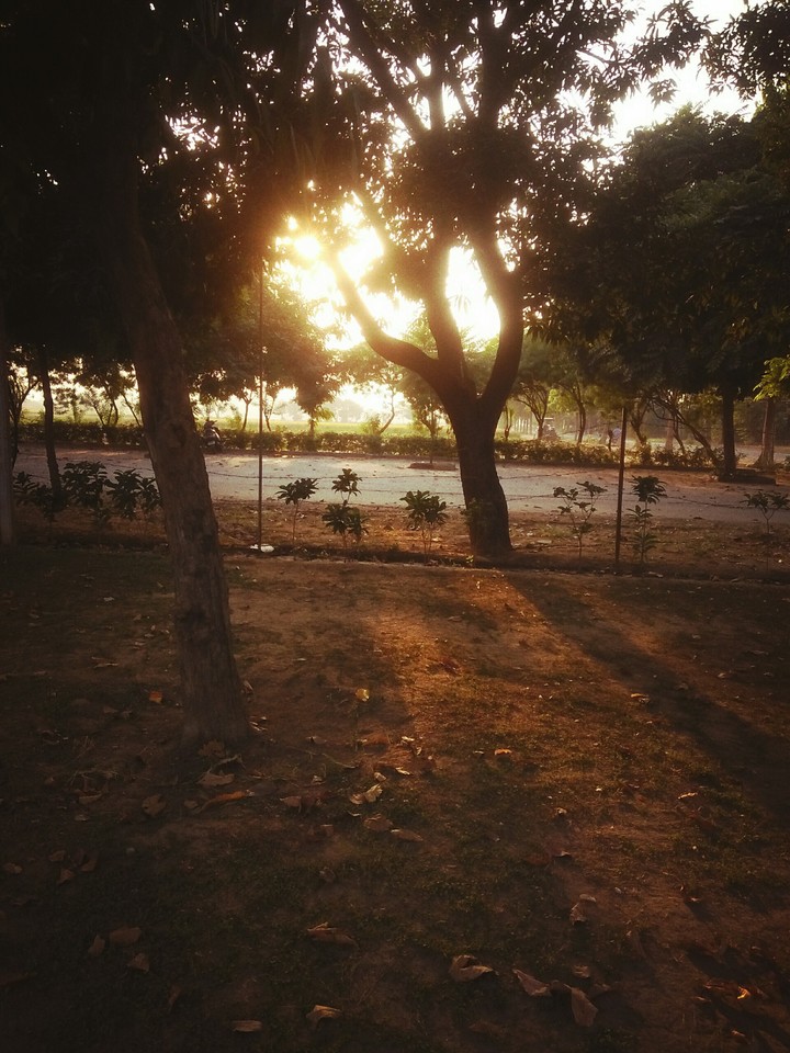 peace