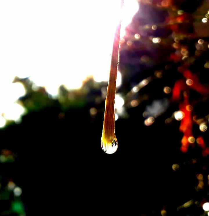 What a drop!!!