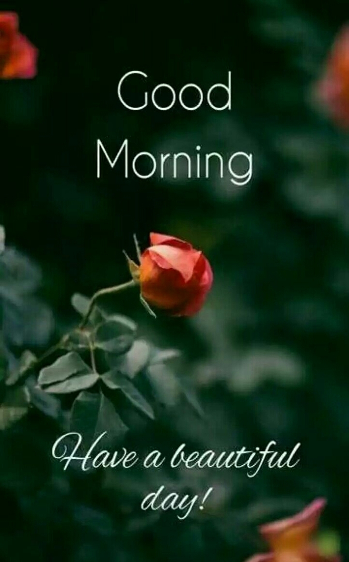 Morning