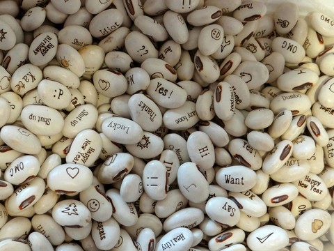 plant, Bean Hintergrundbilder