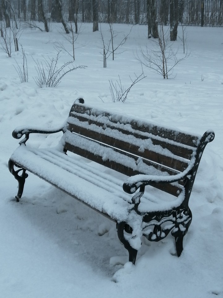 В парке