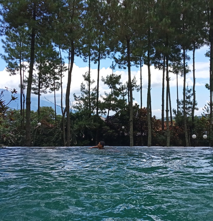 swim