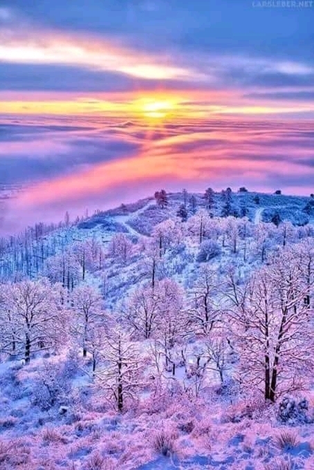 Snowy.