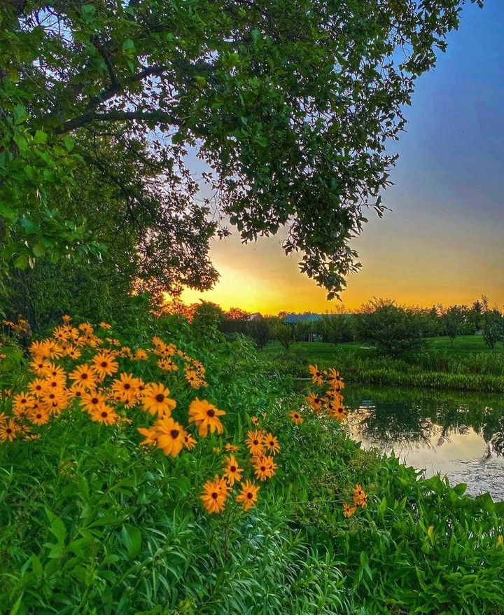 Chicago Botanic Garden...