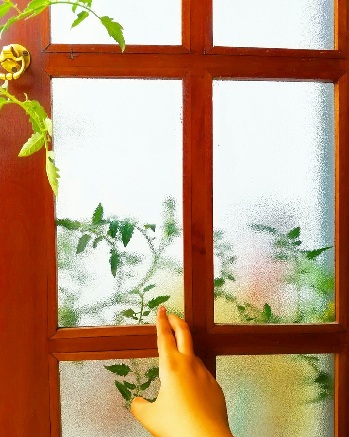 world through my window
