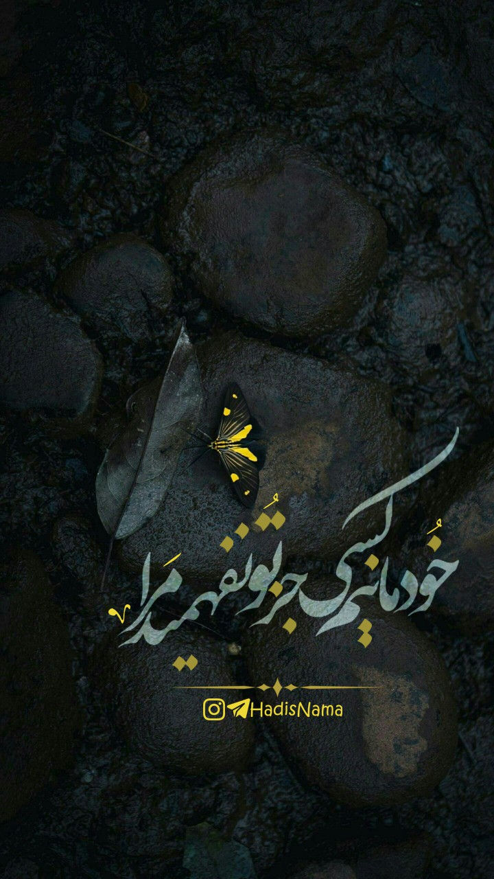 خودمانیم کسی جز تو نفهمید مرا