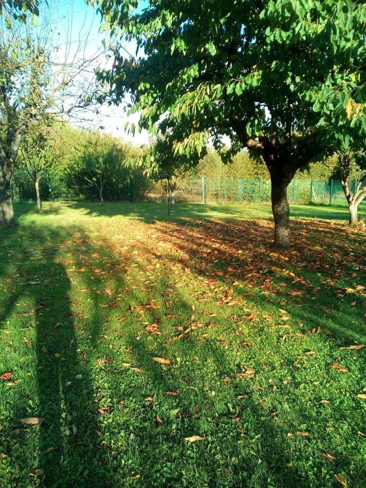 Autumn