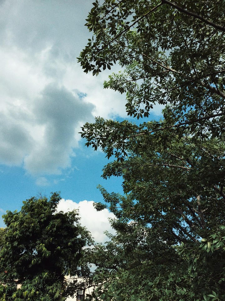 Shades Of Sky