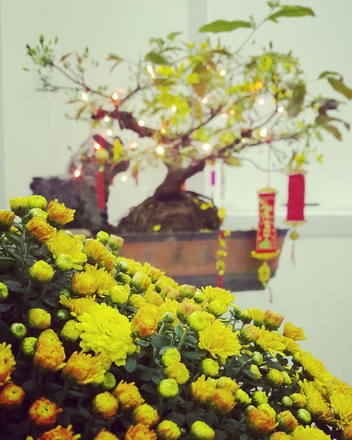 Tet at Viet Nam