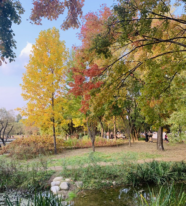 Autumn