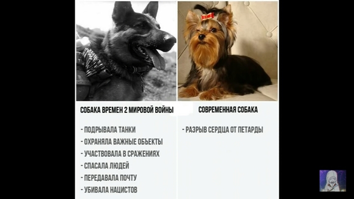 А что, разница невелика
