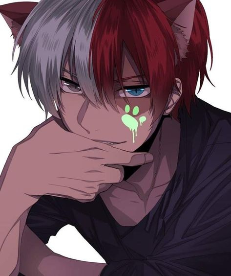 Todoroki Shoto