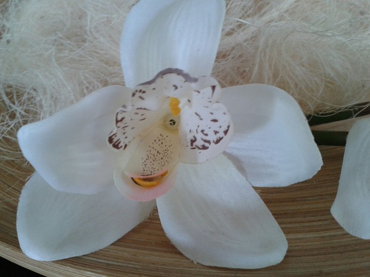 Blume