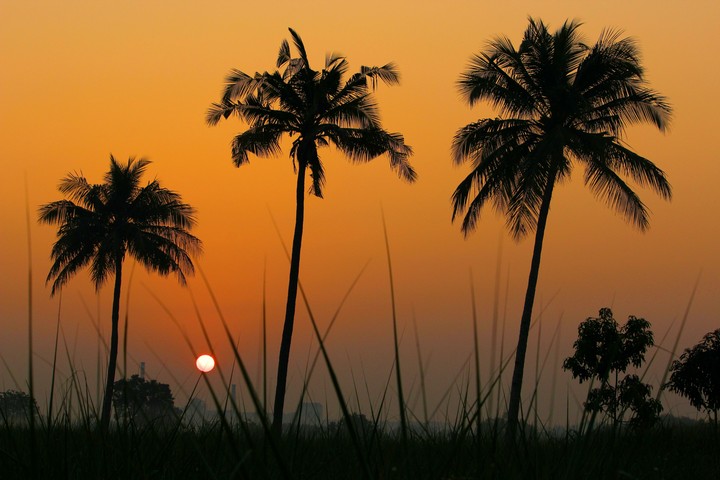 sunrise