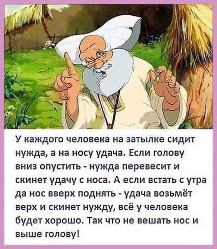 жизнь