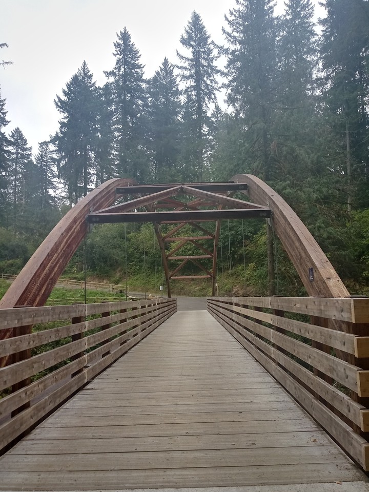 new bridge